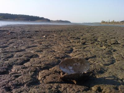 Прикрепленное изображение: вод1.jpg